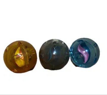 메가스톤 리자드나이트 거북왕나이트 이상해꽃나이트 관동지방