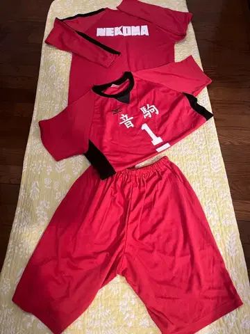 하이큐!! 유니폼 룸웨어 쿠로오 테츠로 M 사이즈 네코마