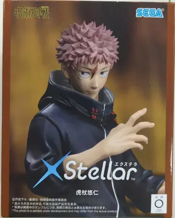 세가 XStellar 이타도리 유우지