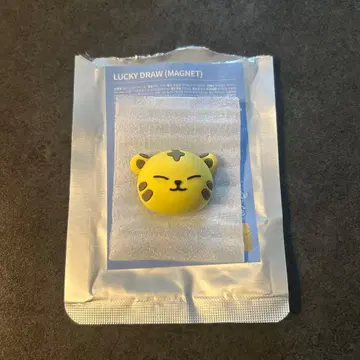 SEVENTEEN MINITEEN 미니틴 마그넷 호시