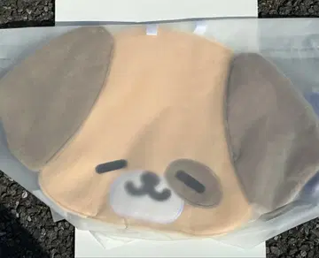 SUPER JUNIOR 부채 케이스 동해