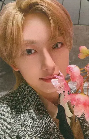 &TEAM 일반ver 초회 프레스 ver. FUMA Yukiakari B