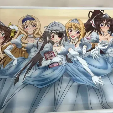 인피니트 스트라토스 벽걸이 포스터