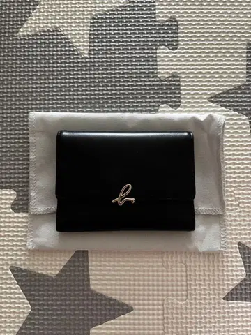 에네스베 교통카드 지갑 카드 케이스 패스 케이스 블랙