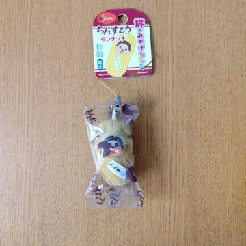 친스코 몬치치