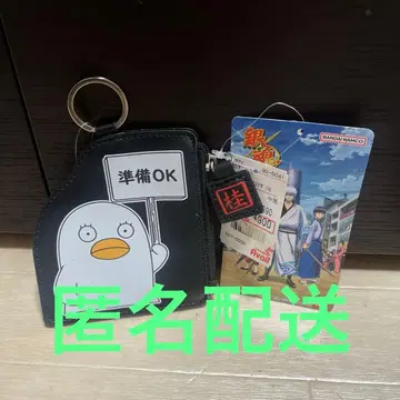 엘리자베스 파우치