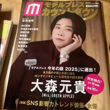 Mrs. GREEN APPLE 잡지 4권 세트