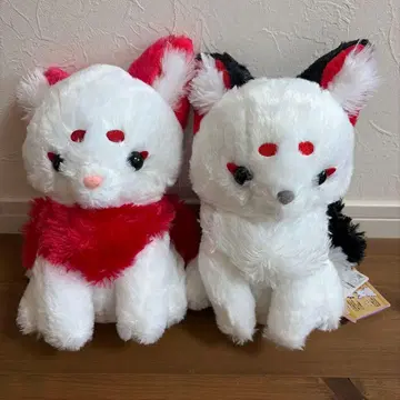 쵸콘토 구미호 여우 몽롱 ST 치토세아메 카노코