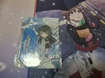 츠키무라 테마리 아크릴 스탠드 흔들리는 아크릴 꼬마 캐릭터