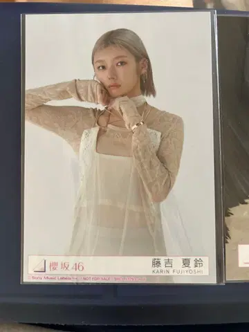 사쿠라자카46 후지요시 카린 Addiction 봉입 MV