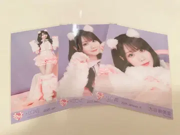 이코라부 오타니 에미리 브로마이드 고양이 의상 컴프