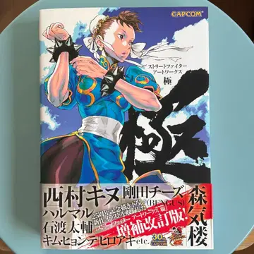 [초판 오비 포함] 스트리트 파이터 아트웍스 극