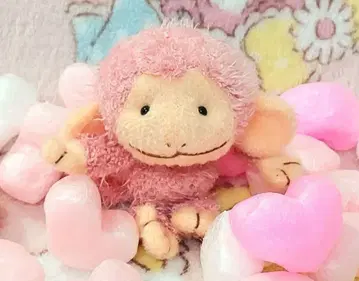 몽슈슈 오레이유 봉제 인형 원숭이