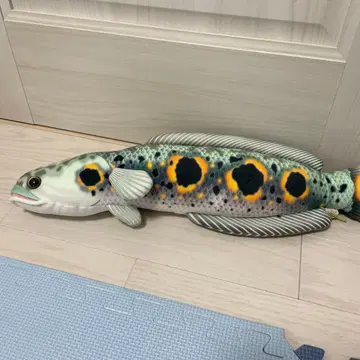 아로아나 봉제 인형