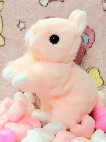 테이크오프 토끼 봉제 인형