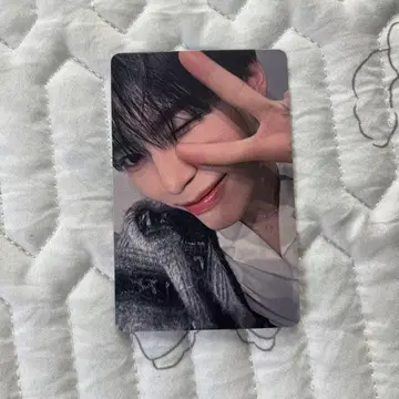 ZB1 고개 돌리기 호이 B상 승리 트레이딩 카드 성한빈