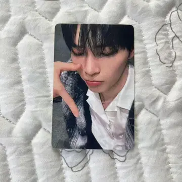 ZB1 이쪽 봐봐 B상 패배 트레이딩 카드 성한빈