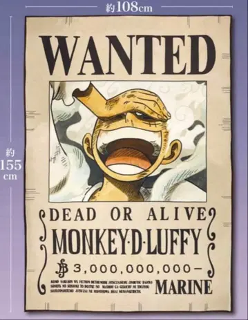 원피스 ONE PIECE 몽키 D 루피 수배서 담요 니카