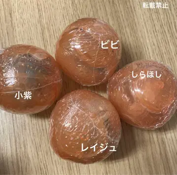 ONE PIECE 원피스 열매 제5해전 4종 세트