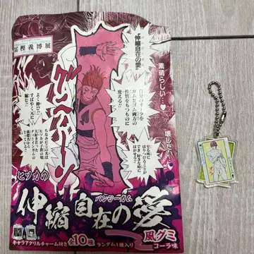 헌터 x 헌터 히소카 아크릴 키링