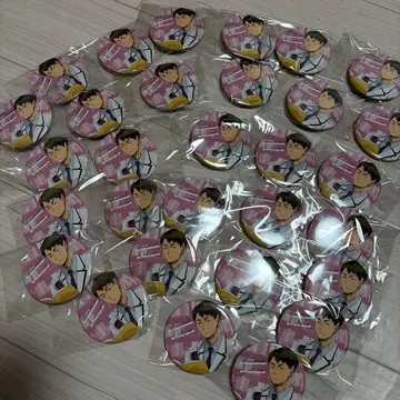 우시지마 와카토시 하이큐 캔뱃지 세트 30개