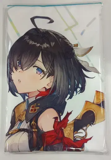 코에이 테크모 게임즈 예약 특전 특대형 태피스트리 유미아