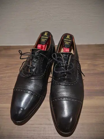 스코치 그레인 F3480 26cm