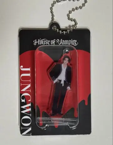 ENHYPEN House of Vampire 질투 키링 정원