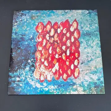 Hammer Head Shark CD Midnight In Naked