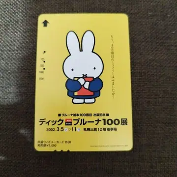 미피 딕 브루나 100전 위드유 카드