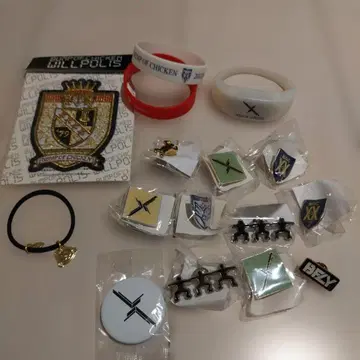 BUMP OF CHICKEN 핀 배지 세트 와펜 러버 밴드 모음