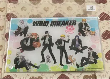 윈블 아크릴 플레이트