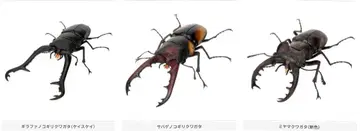 생물대도감 장수풍뎅이 11 3종 온라인판