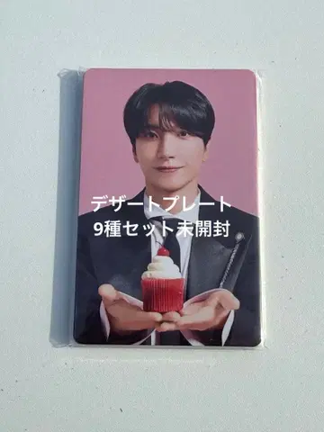 SUPER JUNIOR SS10 일본 한정판 디저트 플레이트 트레카 세트