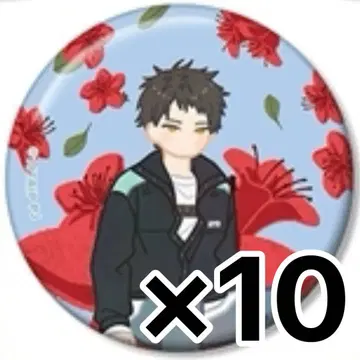 18TRIP 에이트리 Botania 키노우치 타오 캔뱃지 10개