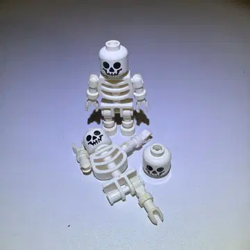 LEGO 올드 레고 해골 스켈레톤 뼈다귀 성 캐슬 남해