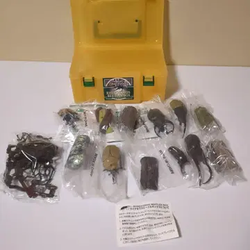 RHINOCEROS BEETLES 장수풍뎅이 피규어 세트