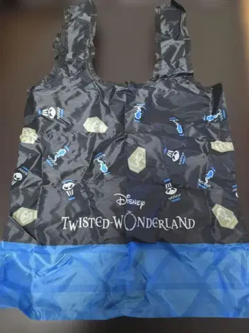 [트위스테] 이그니하이드 에코백