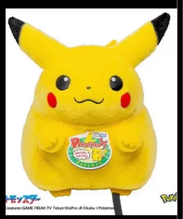 포켓몬 30주년 기념 어서 와! 피카츄 1/1