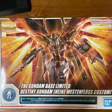 MG 1/100 데스티니 건담 (하이네 베스텐플스 커스텀)