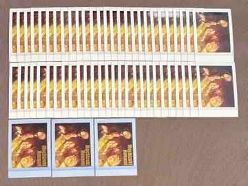 프로세카 파샤코레 4B 금박 모치즈키 호나미