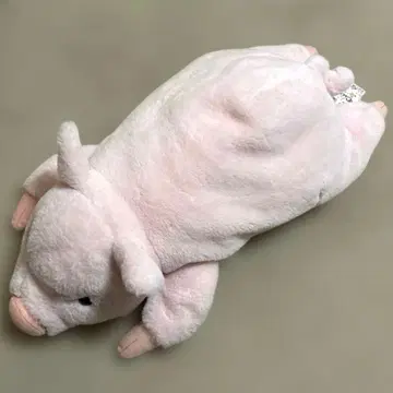 sun arrow 선 애로우 Cushy 돼지 봉제 인형