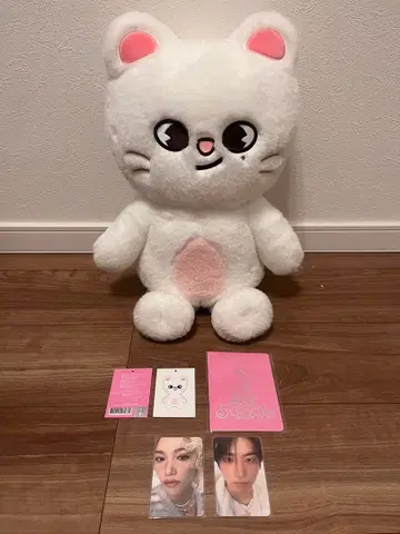 Stray Kids 테디베어 지니렛 특전 트레이딩 카드 포함