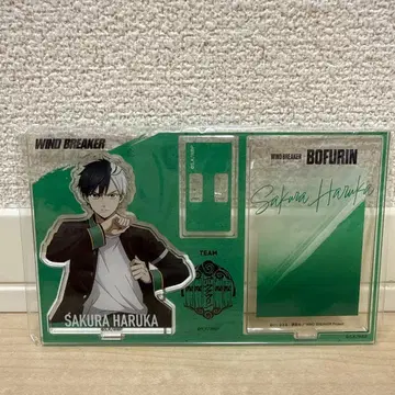 윈드브레이커 사쿠라 하루카 아크릴 스탠드 카드 디자인 Ver.
