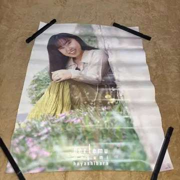 하야시바라 메구미 앨범 포스터 B2 사이즈 미사용