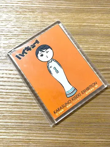 하이큐 코케시 마그넷 오이카와