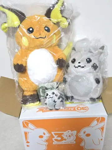 포켓몬 시작의 피카츄 중국 라이츄