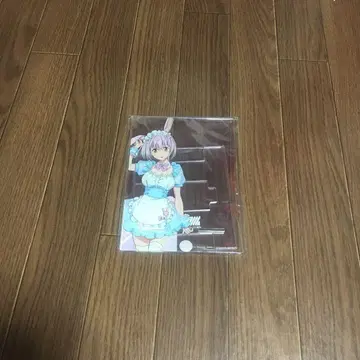 SSSS.GRIDMAN 신조 아카네 아크릴 멀티 스탠드