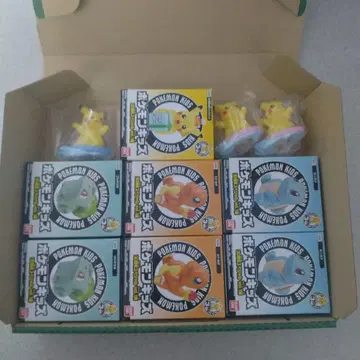 포켓몬 키즈 30주년 피카츄 파이리 꼬부기 이상해씨