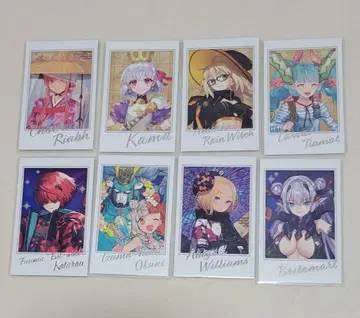 Fate FGO 포트레이트 카드 세트 모음